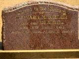 image of grave number 916700